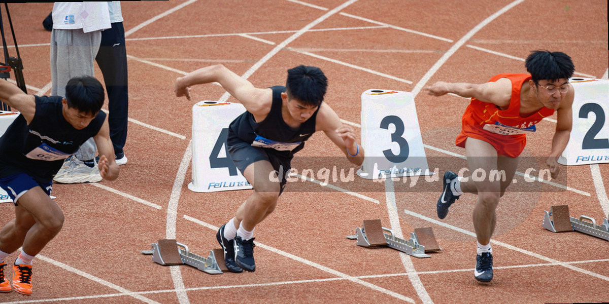 体育场全景与足球，象征2026赛季数据全面上线